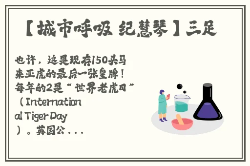精品国产福利在线观看网址